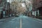 Quiet street in the Former French Concession of Shanghai