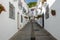 Quiet street of Mijas town in siesta time. Typical white town inAndalusia, southern Spain, provence Malaga, Costa del Sol.