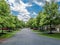 Quiet street in small american town