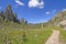 Quiet Trail Through a Mountain Valley