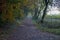 Quiet tree lined country road in autumn