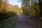 Quiet tree lined country road in autumn