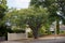 Quiet, uninhabited street, green, tall trees