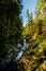 Quiet walk of the river - Englishman river falls, Vancouver Island, BC