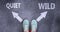 Quiet and wild as different choices in life - pictured as words Quiet, wild on a road to symbolize making decision and picking