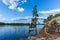 The quiet wild forest and lonely trees on the shore of the Saimaa lake in the Linnansaari National Park in Finland - 1
