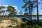 The quiet wild forest and lonely trees on the shore of the Saimaa lake in the Linnansaari National Park in Finland - 5