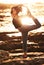 Quiet your mind and free your body. Shot of a young woman practicing yoga at the beach.