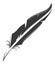 Quill icon. Bird feather. Retro writing tool