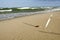 Quill planted into coastal sea sand and its shadow