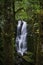 Quinault Rainforest Waterfall