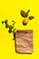 Quince apple, tree branches and paper bag on yellow
