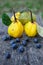 Quince fuits and blackthorn berries on old wood background.