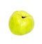 Quince (golden apple)