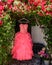 Quinceanera/Sweet 16 pink dress hanging next to teddy bear and bougainvillea