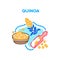 Quinoa Porridge Vector Concept Color Illustration