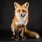 Quirky Celebrity Portrait Of A Red Fox On Black Background