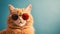 Quirky Ginger Cat in Sunglasses Posing on a Light Blue Backdrop