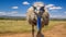 Quirky Ostrich Portrait In Blue And Beige Style With Emphasis On Emotion