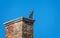 Quirky Owl statue on top of a chimney in Sherborne, Dorset, UK