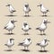 Quirky Seagull Sketch Series By Fabio Barzac