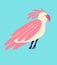 Quirky strange pink dove. A bizarre strange bird with a pink color