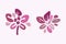 Quirky vector botanical plant set. Whimsical collection of flower illustration for viva magenta color of the year.