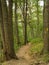 Quit Hiking Trail in the Blue Ridge Mountains