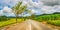 Quite road among green hills landscape, Mauritius. Panorama