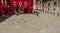 QUITO, ECUADOR - SEPTEMBER 10, 2017: Unidentified people walking in a plaza near of some pigeons, and view of colonial