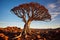 Quiver tree (Aloe dichotoma) - Southern Africa (Generative AI)