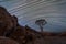 A Quiver Tree framed by rocky mountains and star trails