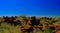 Quiver tree or kokerboom forest and giants sports ground near Keetmanshoop, Namibia