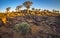 The Quivertree Forest at sunrise in Namibia, Africa.
