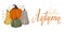 Quote hello autumn. Cozy autumn banner with pile vegetables and calligraphic inscription. Horizontal vector card with pumpkins