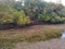 Qurum Mangrove beach, Muscat