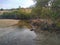 Qurum Mangrove beach, Muscat