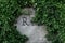 R.I.P.  letters engraved in grey stone tombstone