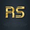 R and S initial gold logo. RS - Metallic 3d icon or logotype template. SR - Vector design element with lineart option