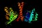 Rab11 family-interacting protein 3, a protein with regulatory roles