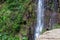 Rabacal - Black great trust bird sitting on wall looking at majestic waterfall cascada Risco along idyllic Levada walk
