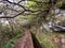 Rabacal levadas das 25 fontes, popular walkway over mountains of Madeira