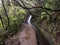 Rabacal levadas das 25 fontes, popular walkway over mountains of Madeira