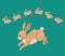 Rabbit animal jump. Sequence of bunny motion, isolated small pet, cute side of frame. Domestic or farm, easter mammal