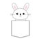 Rabbit baby face head icon sitting in the pocket. Pink cheeks. Contour line. Funny hare. Cute cartoon character. Love card. Kawaii