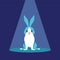 Rabbit background illustraion logo design