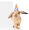 Rabbit in birthday hat peeks out from behind a blank banner. Isolated