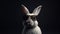 rabbit with black background with sunglass looking front generative ai