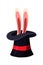 Rabbit in black hat isolated on white background