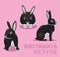 Rabbit Britannia Petite Cartoon Vector Illustration